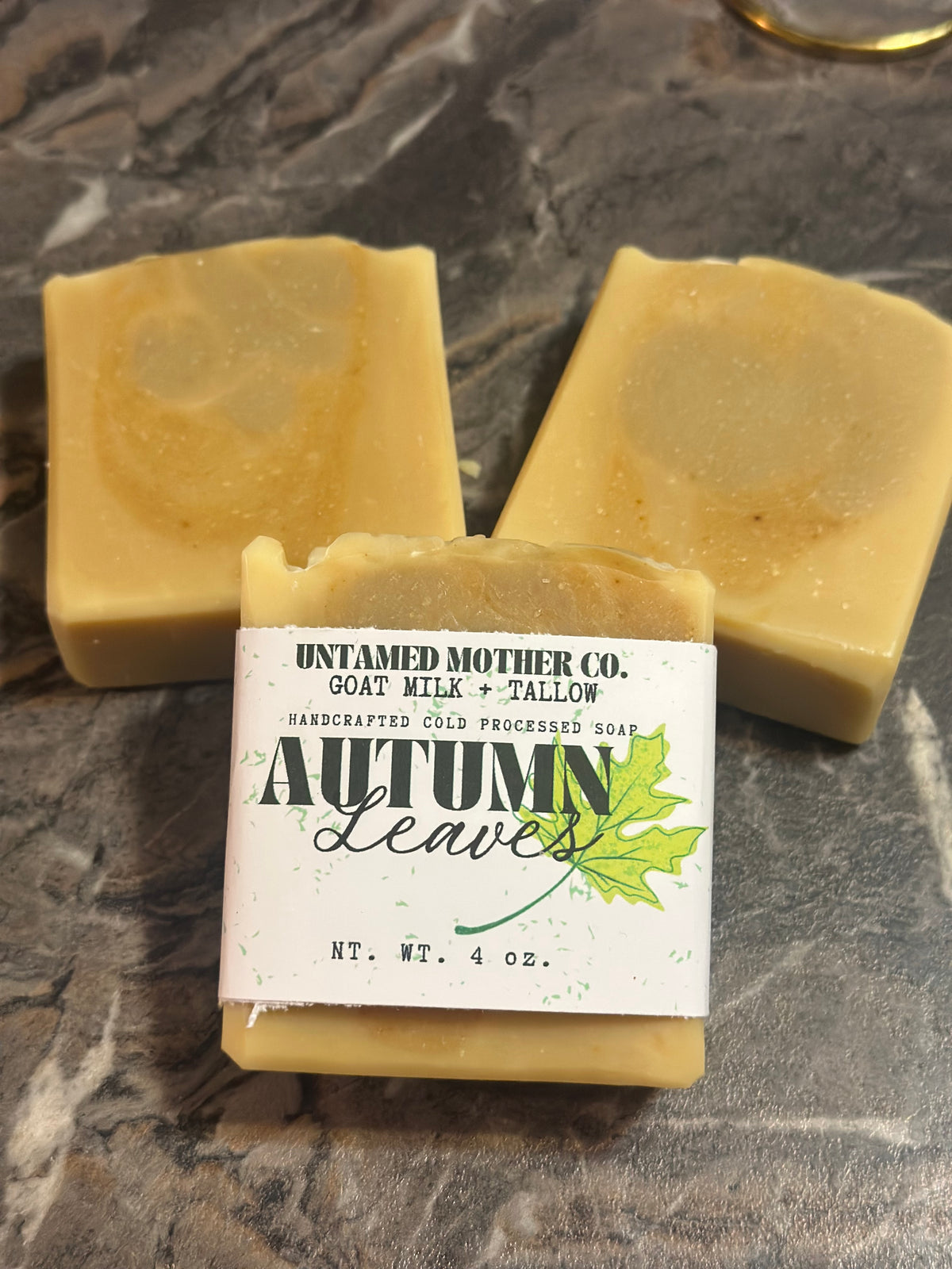 Autumn Leaves | Grass Fed + Finished Tallow and Goat Milk Soap