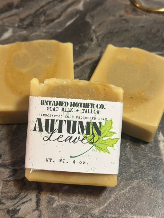 Autumn Leaves | Grass Fed + Finished Tallow and Goat Milk Soap