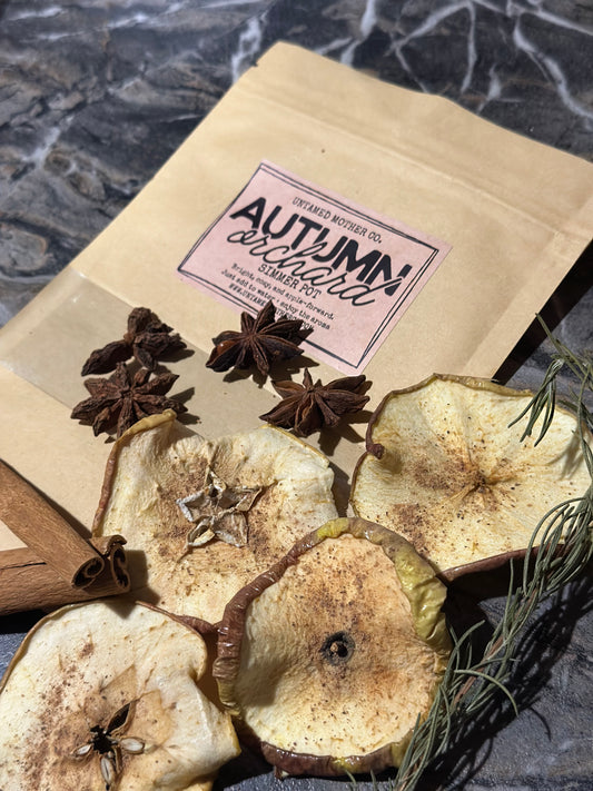 Autumn Orchard Simmer Pot Kit 🍎🍂