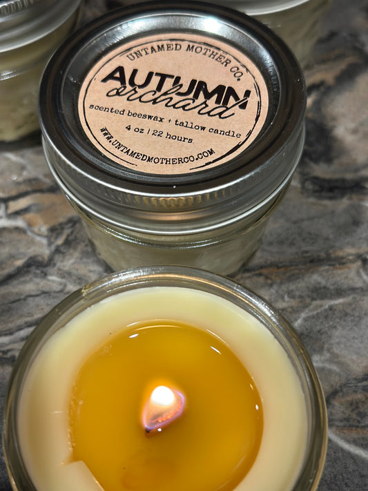 Autumn Orchard Tallow + Beeswax Candle 🍎
