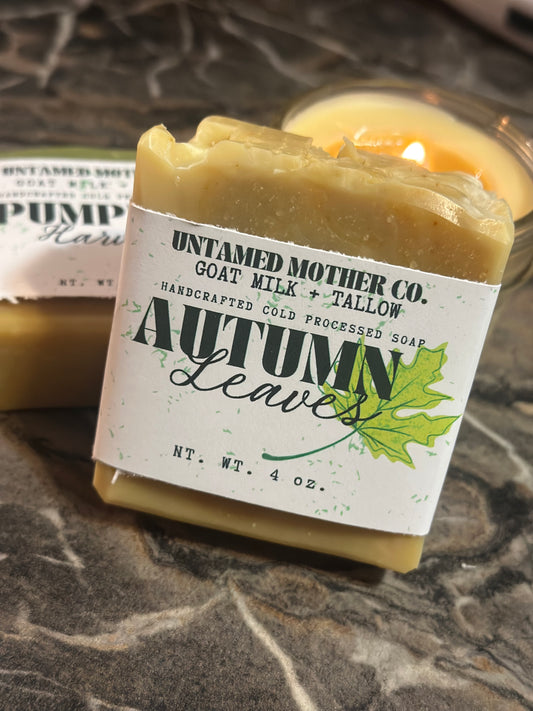 Autumn Leaves | Grass Fed + Finished Tallow and Goat Milk Soap