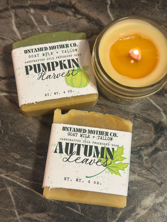 Pumpkin Harvest Soap 🎃 | Grass Fed + Finished Tallow and Goat Milk Soap