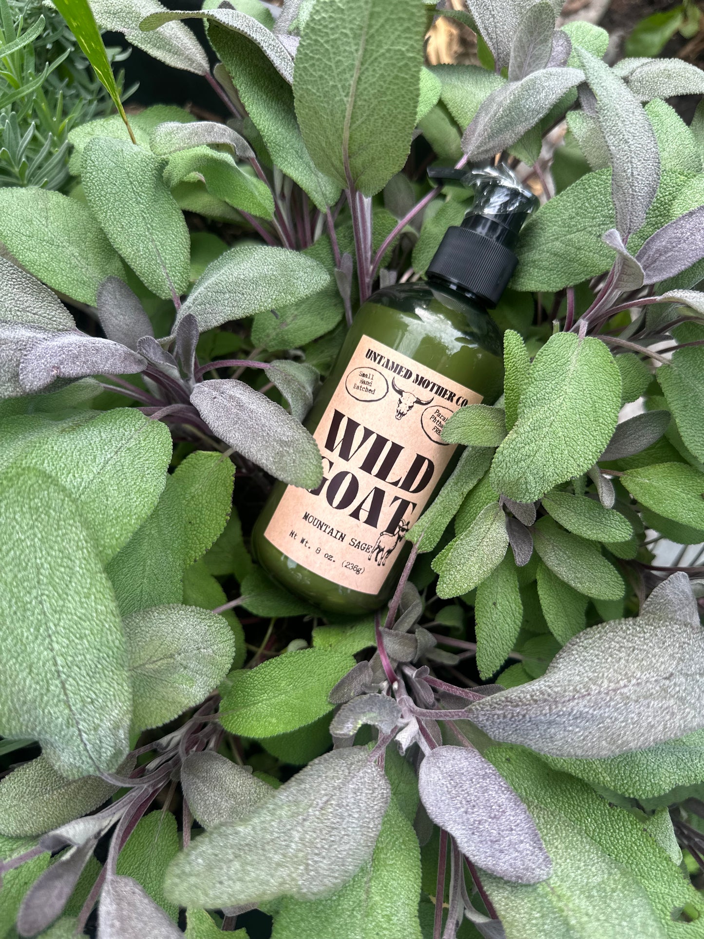 Wild Goat Milk Lotion – Natural Hydrating Body Lotion (Made with Essential Oils | Sensitive Skin Friendly)