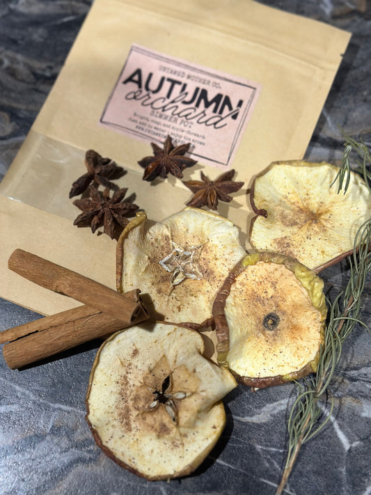 Autumn Orchard Simmer Pot Kit 🍎🍂