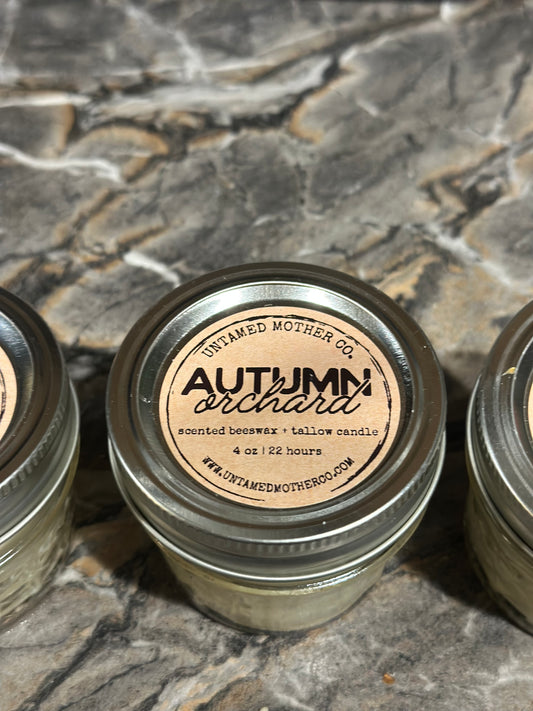 Autumn Orchard Tallow + Beeswax Candle 🍎