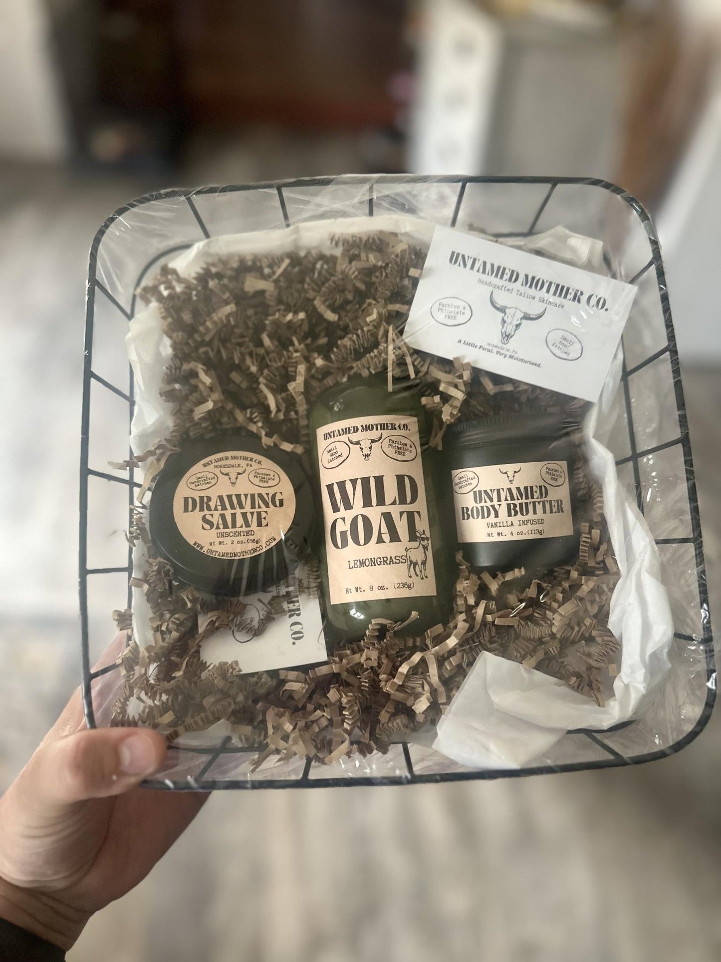 Drawing Salve Bundle